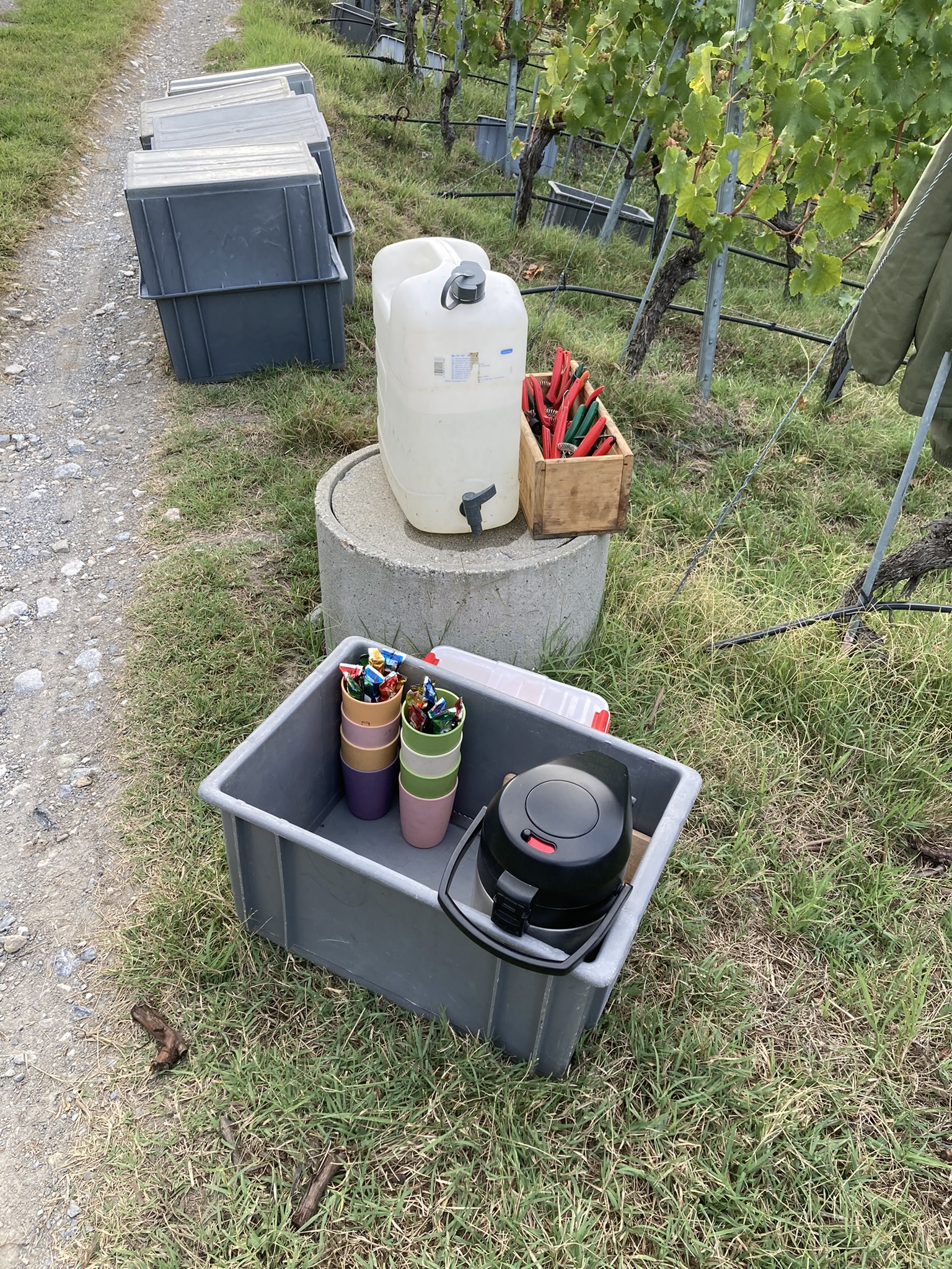 Equipement de vendanges